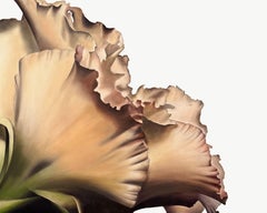 Frilled