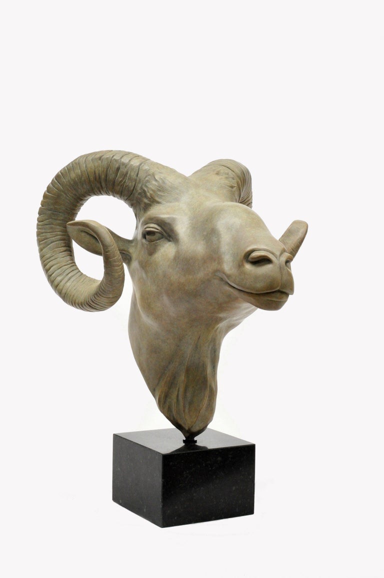 Renee Marcus Janssen - Apollo Ram Aries Bronze Sculpture Zodiac Sign  Contemporary Animal Art For Sale at 1stDibs