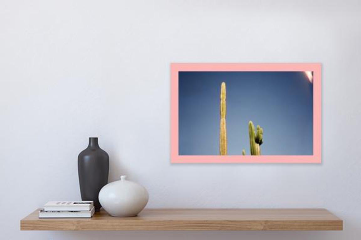 Cactus - nature photograph of cactus with pink border, Palm Springs - Blue Landscape Print by Renée Rodenkirchen