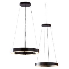 Reng Hilo I Modernist Suspension Light Ring LED Light