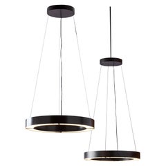 RENG Hilo II Modernist Suspension Ring LED Light