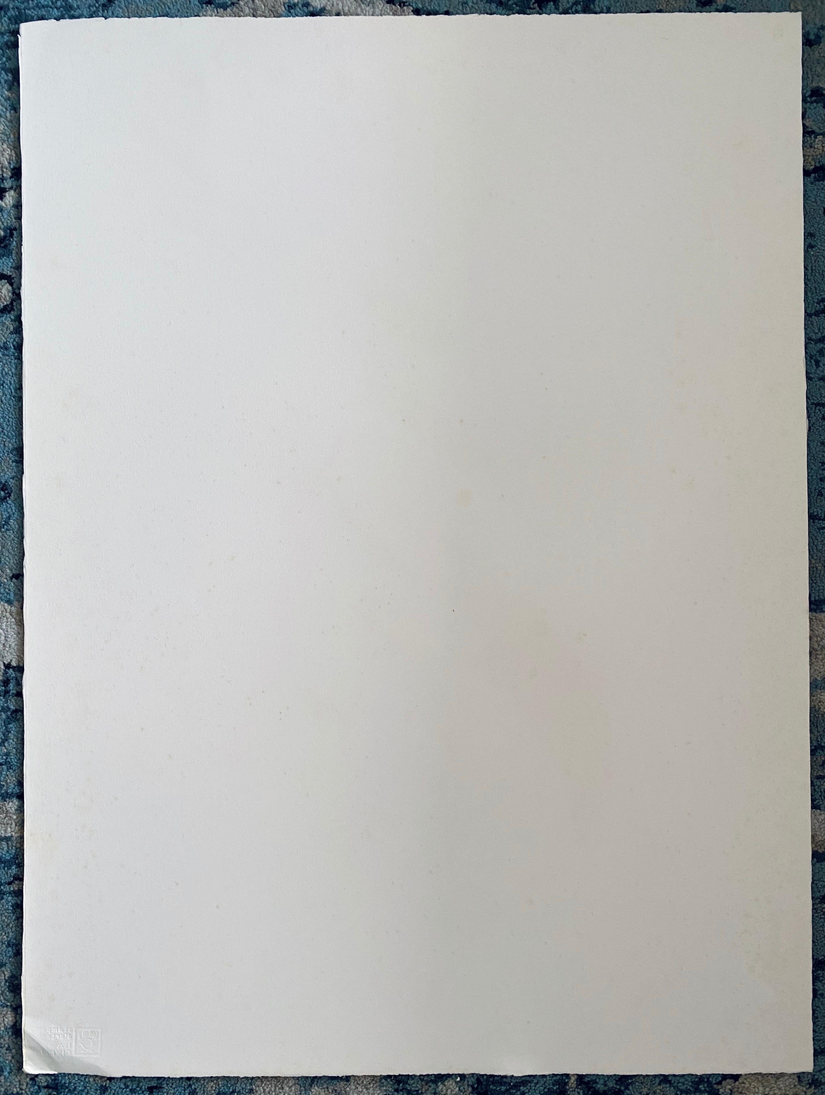 Litografia astratta di un artista italiano in vendita 3