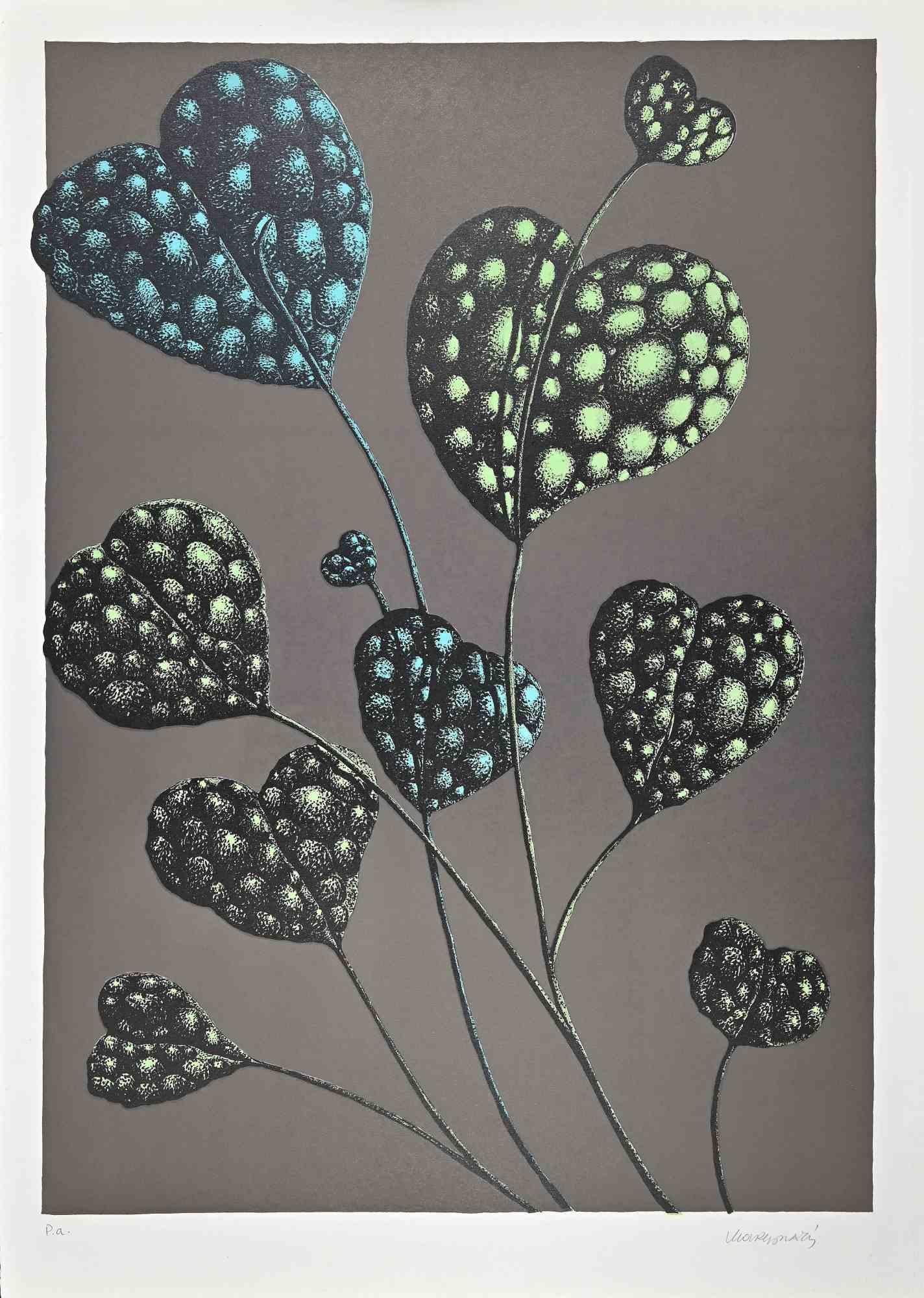 Fioritura del Tuttocuore è una litografia originale realizzata da Renzo Margonari nel 1976.

Firmato a mano.

Prova d'artista.