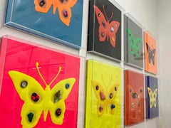 The Butterfly Effect