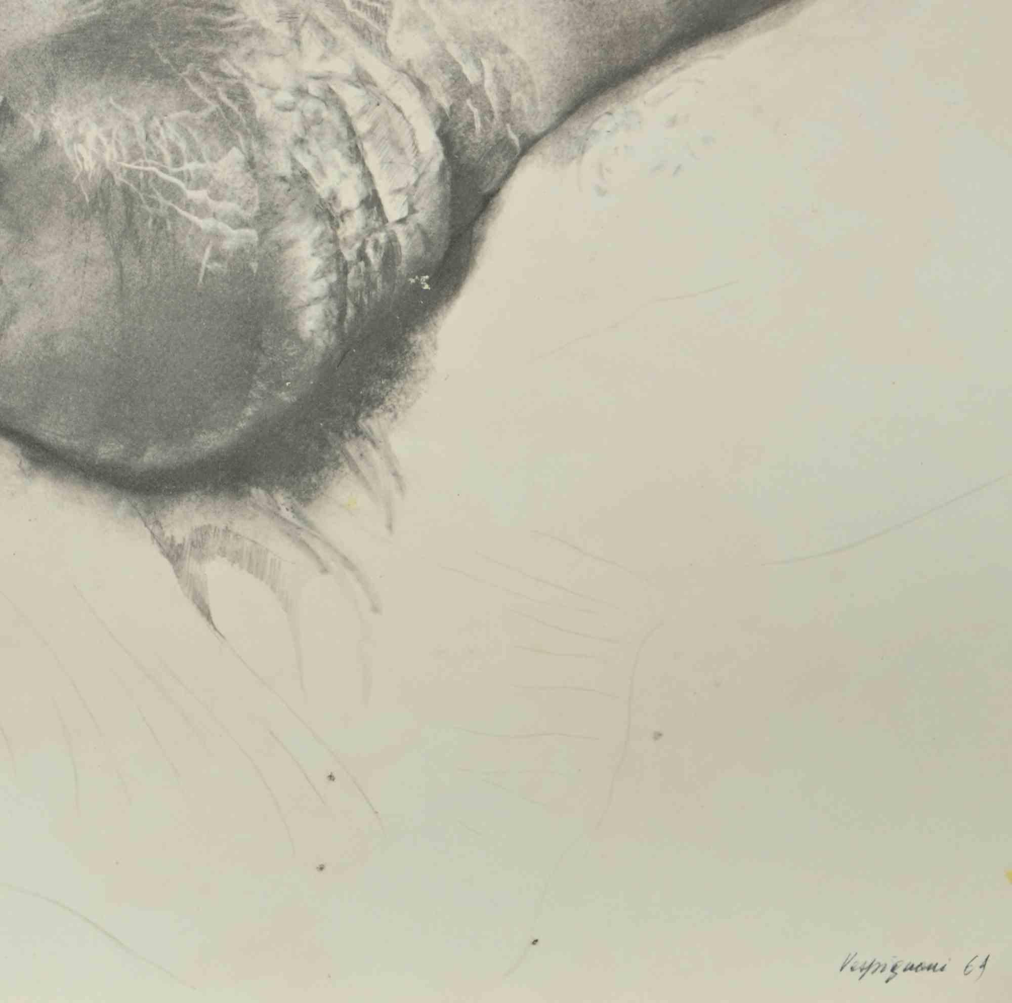 Pie - Grabado de Renzo Vespignani - Años 60 en venta 1