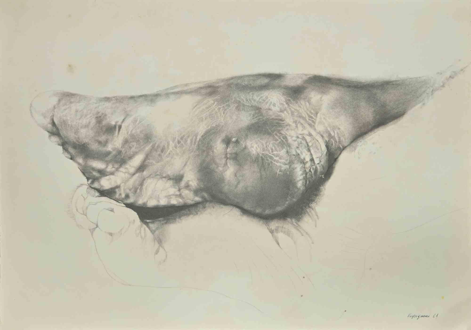 Pie es una impresión fotográfica que reproduce un dibujo de Renzo Vespignani de los años 60

Firmado en la placa, abajo a la derecha.

La obra de arte se representa mediante trazos fuertes y eclosiones perfectas.