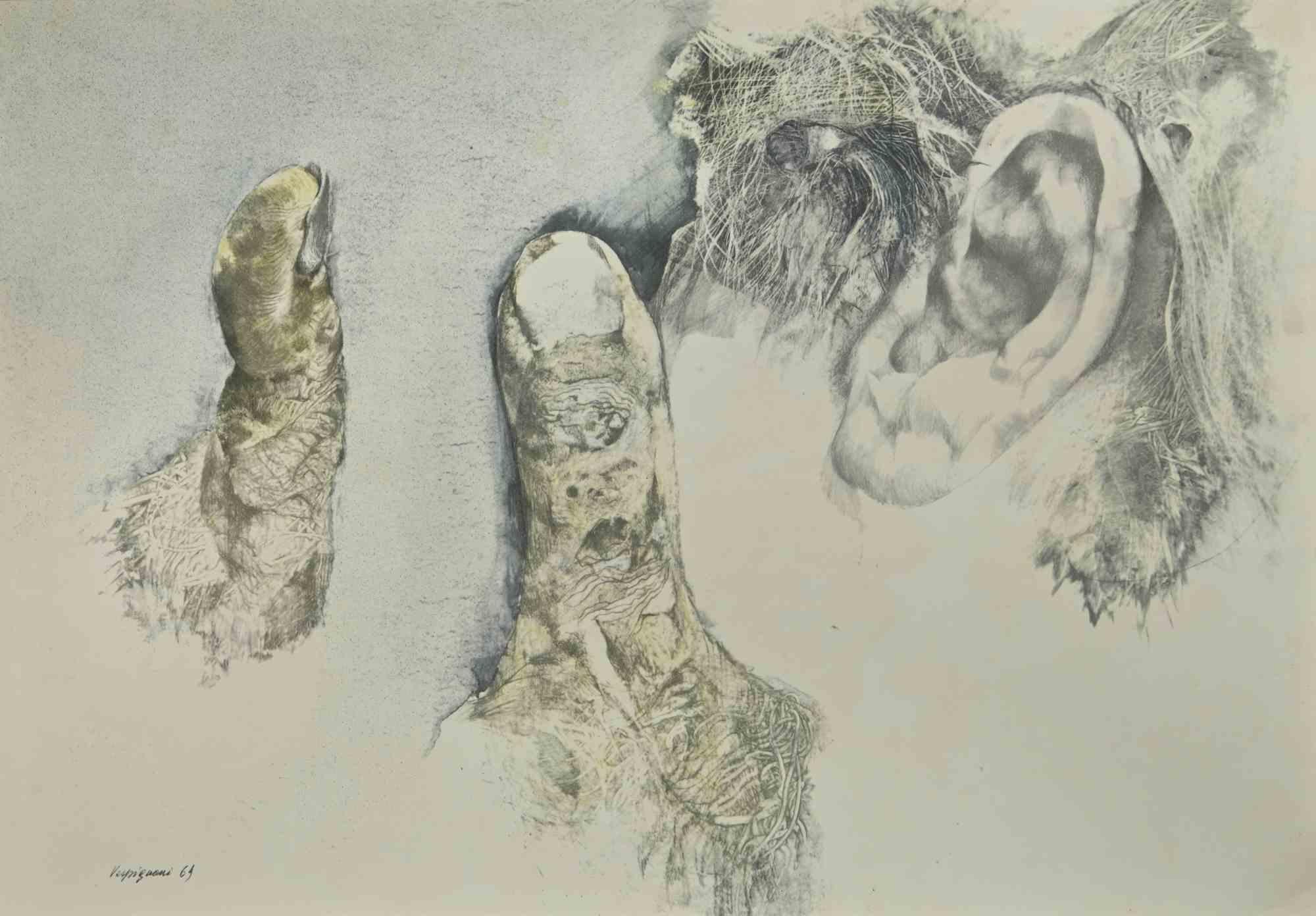 A.Profiles et  Fingers - Impression de Renzo Vespignani - Années 1960