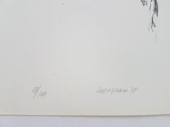Report on the artist