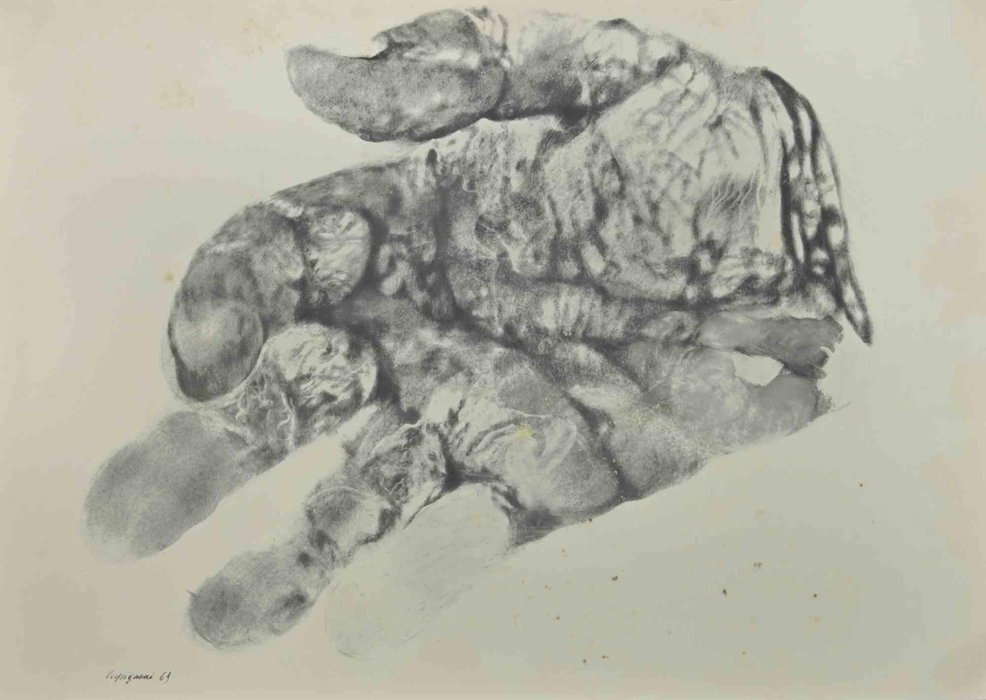 The Hand is a phototype print reproducing drawing by Renzo Vespignani of the 1960s

Signed on the plate lower right.

The artwork is depicted through strong strokes and perfect hatchings.