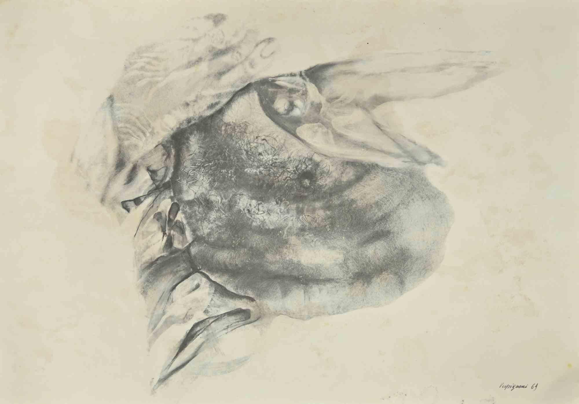The Hand is a phototype print reproducing drawing by Renzo Vespignani of the 1960s

Signed on the plate lower right.

The artwork is depicted through strong strokes and perfect hatchings.