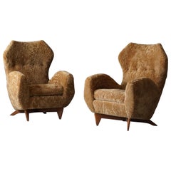 Renzo Zavanella, Organic Lounge Chairs, Sheepskin, Walnut, Italy, 1950s