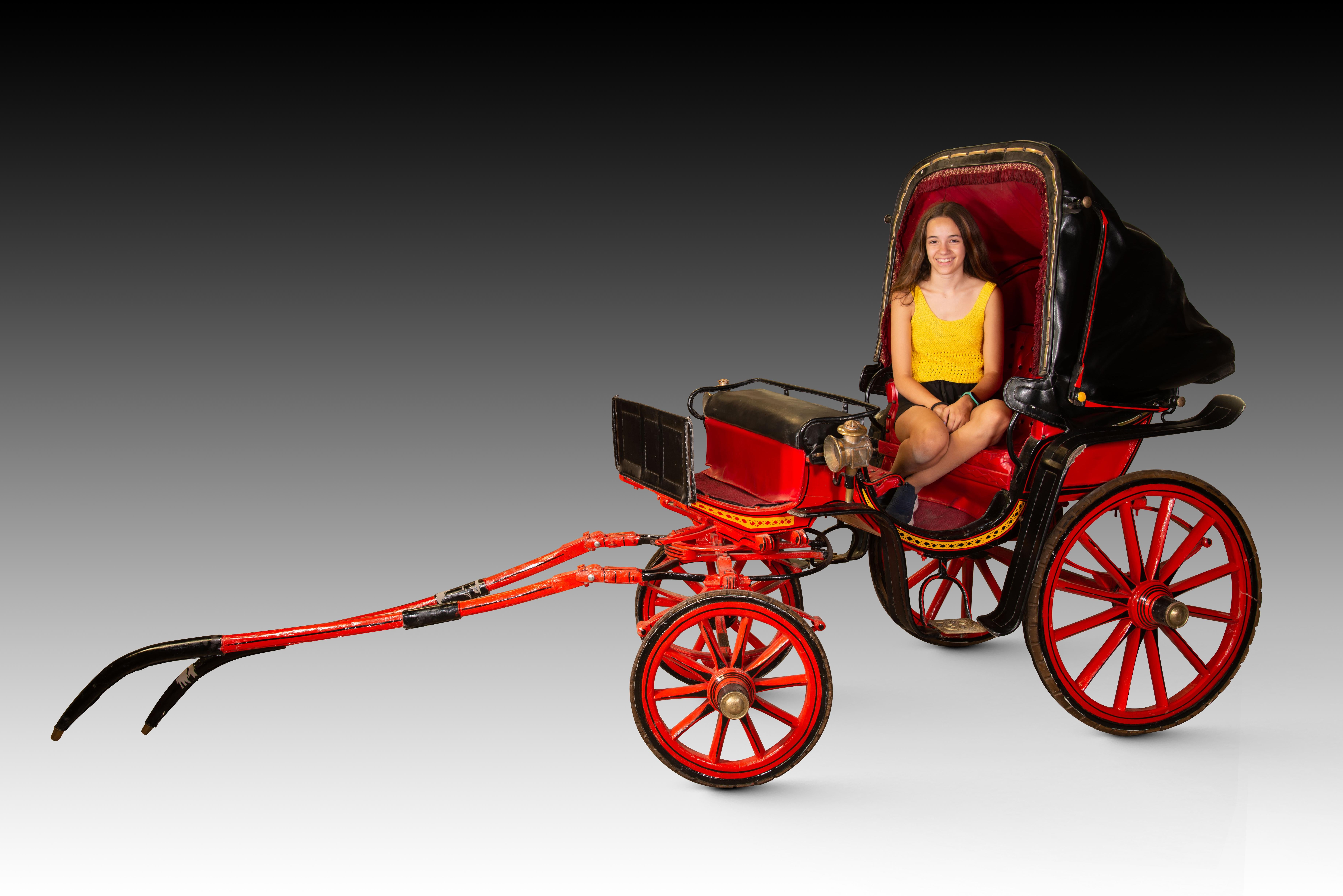 Replica of carriage. Bois, métal, etc. 20e siècle. en vente 11