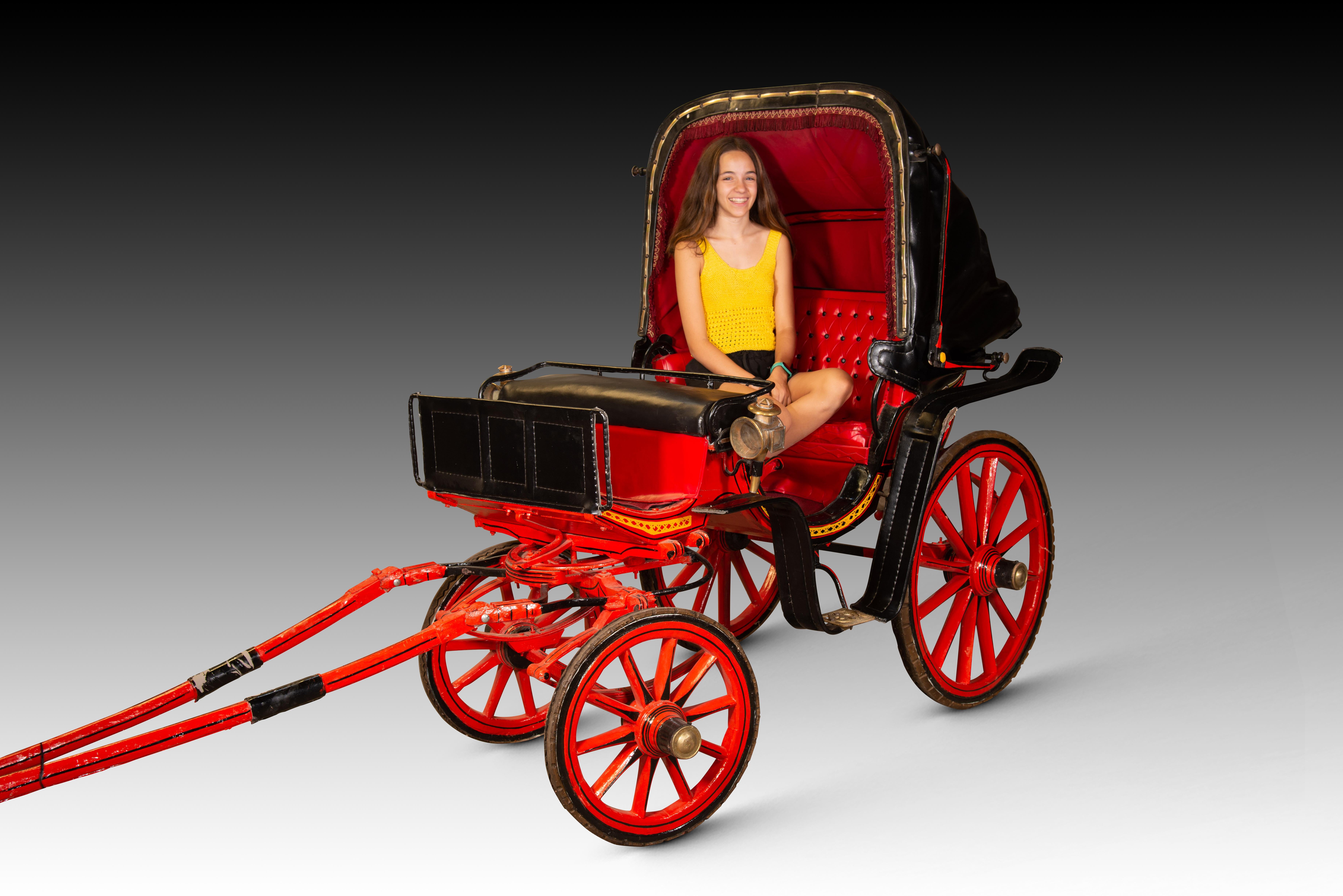 Replica of carriage. Bois, métal, etc. 20e siècle. en vente 12