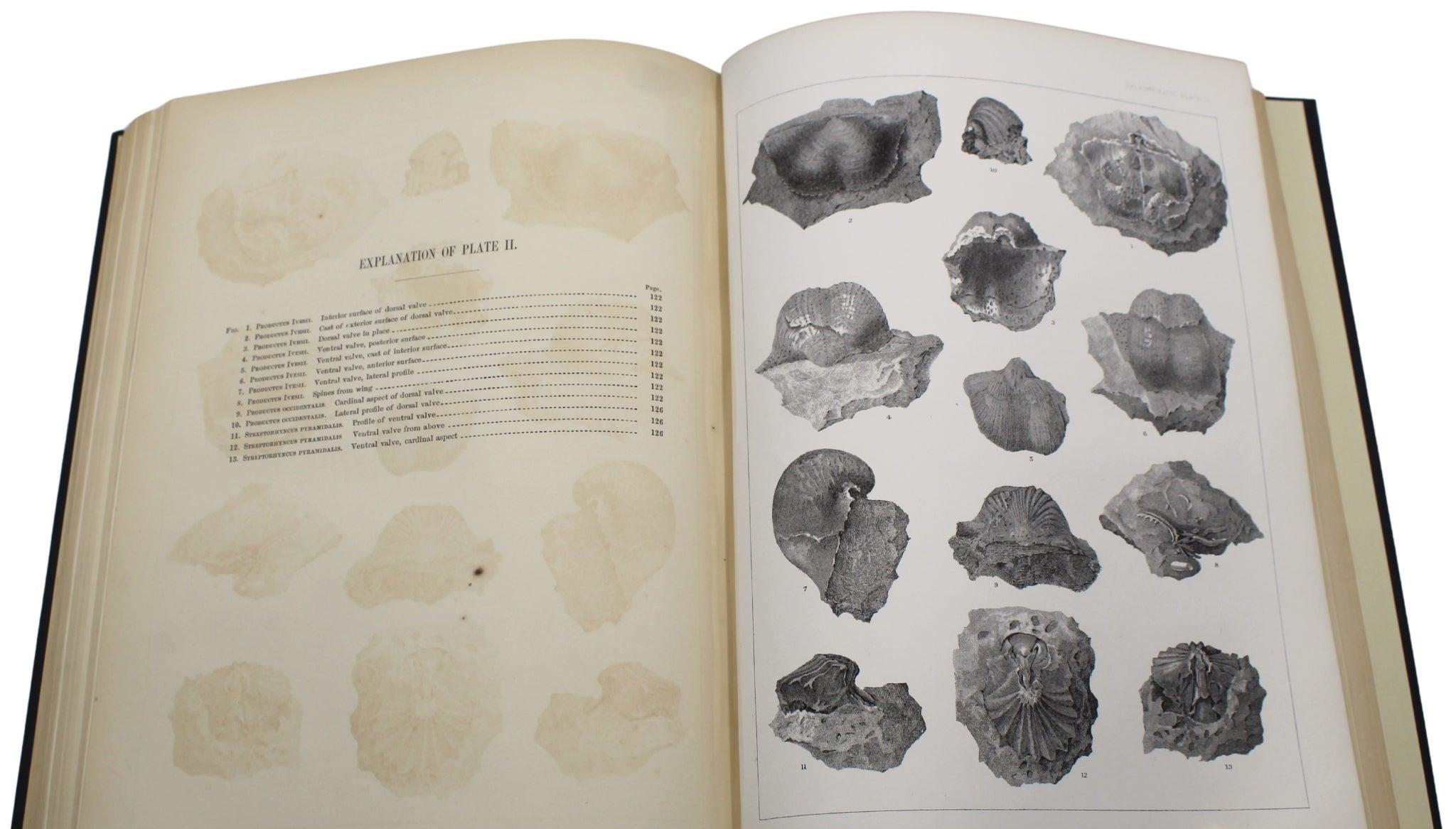 Milieu du XIXe siècle Report on the Colorado River of the West par Joseph Ives, première édition, 1861 en vente