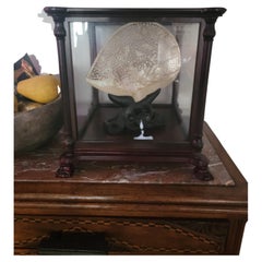 Reproduction Georgian style display case