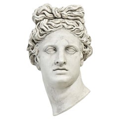 Reproduction Plaster Bust of Apollo