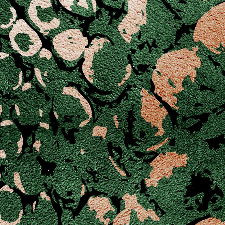 Teppich aus handgetufteter Wolle und botanischer Seide von Rug'Society mit Reptilmuster (Moderne) im Angebot