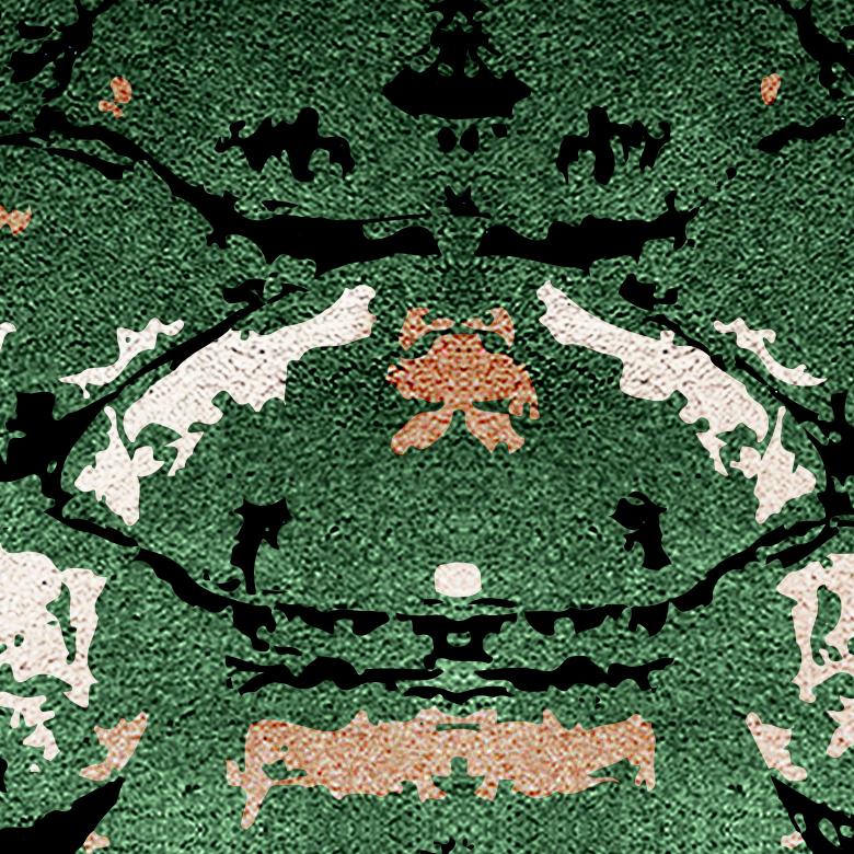 Teppich aus handgetufteter Wolle und botanischer Seide von Rug'Society mit Reptilmuster (Portugiesisch) im Angebot