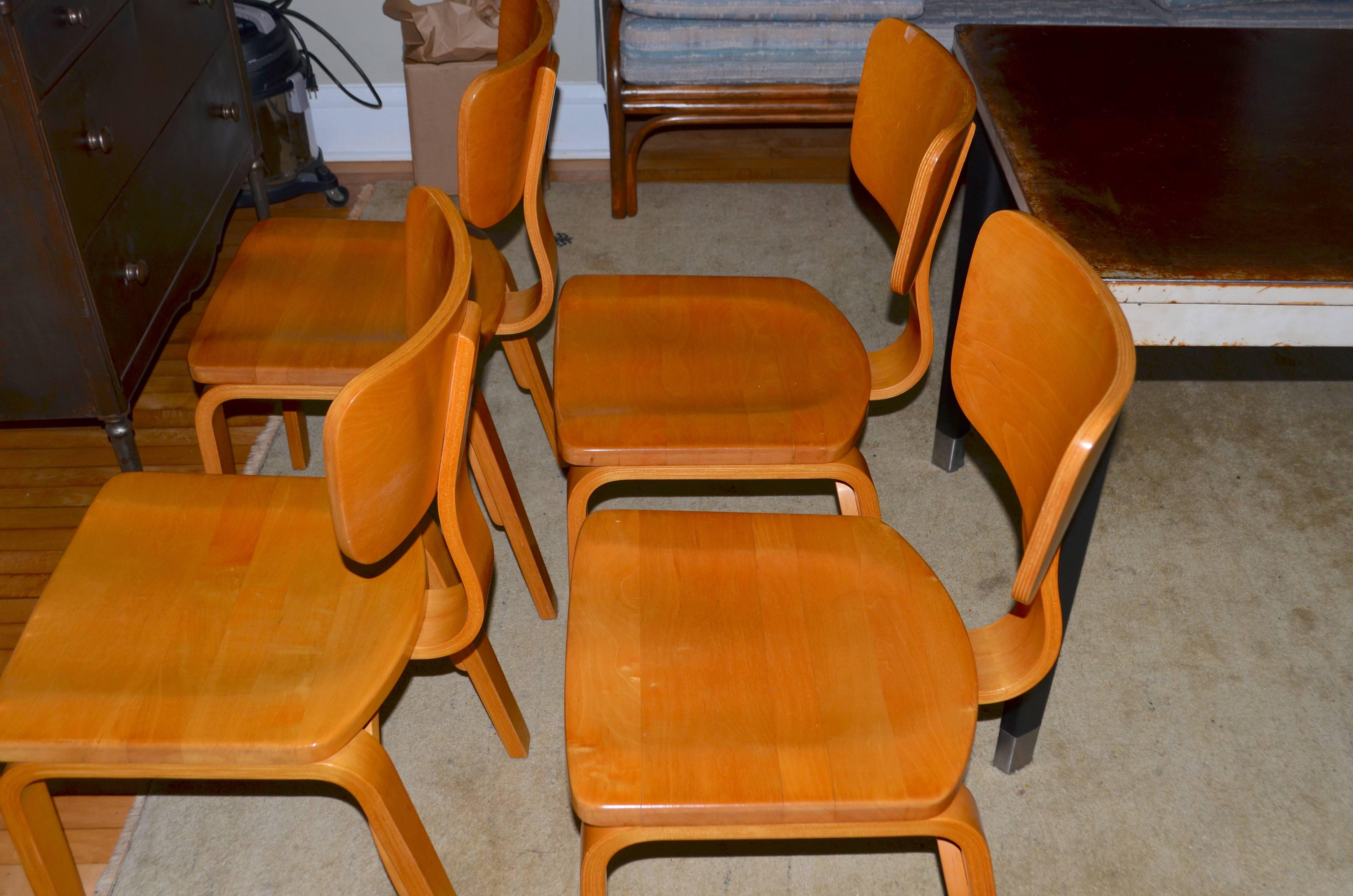 Reserved for Alexandra: Thonet Maple Dining Chairs with Bentwood, Set of Four 5