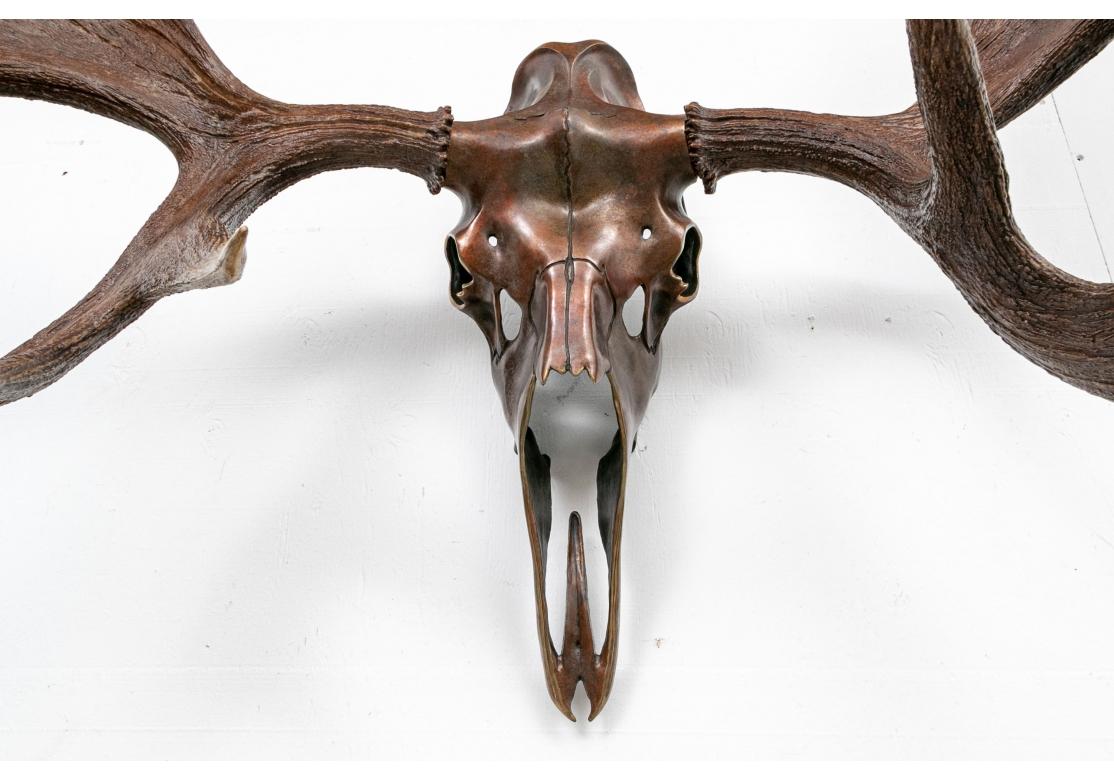 20th Century Resin And Bronze Wall Mounted Moose Skull For Sale