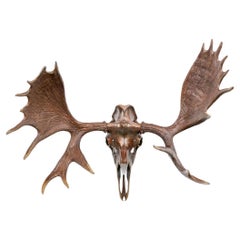 Vintage Resin And Bronze Wall Mounted Moose Skull