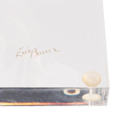 Resin and Lucite Sculpture by Eric Bauer