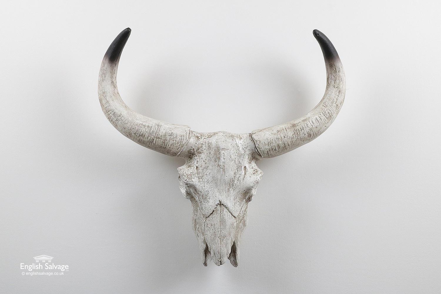 Cow's head and horns made of resin. The horns are detachable and fasten with iron pegs. A real statement piece of wall art.