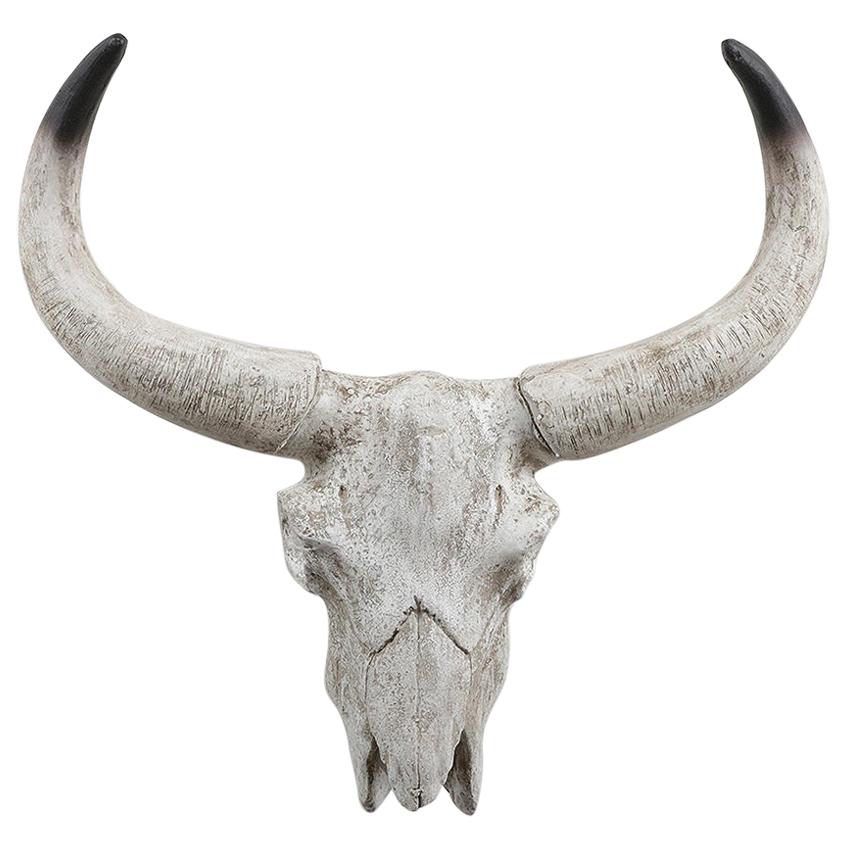 Resin Cow Head and Horns, 20th Century For Sale