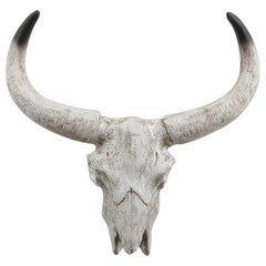 Resin Cow Head and Horns, 20th Century