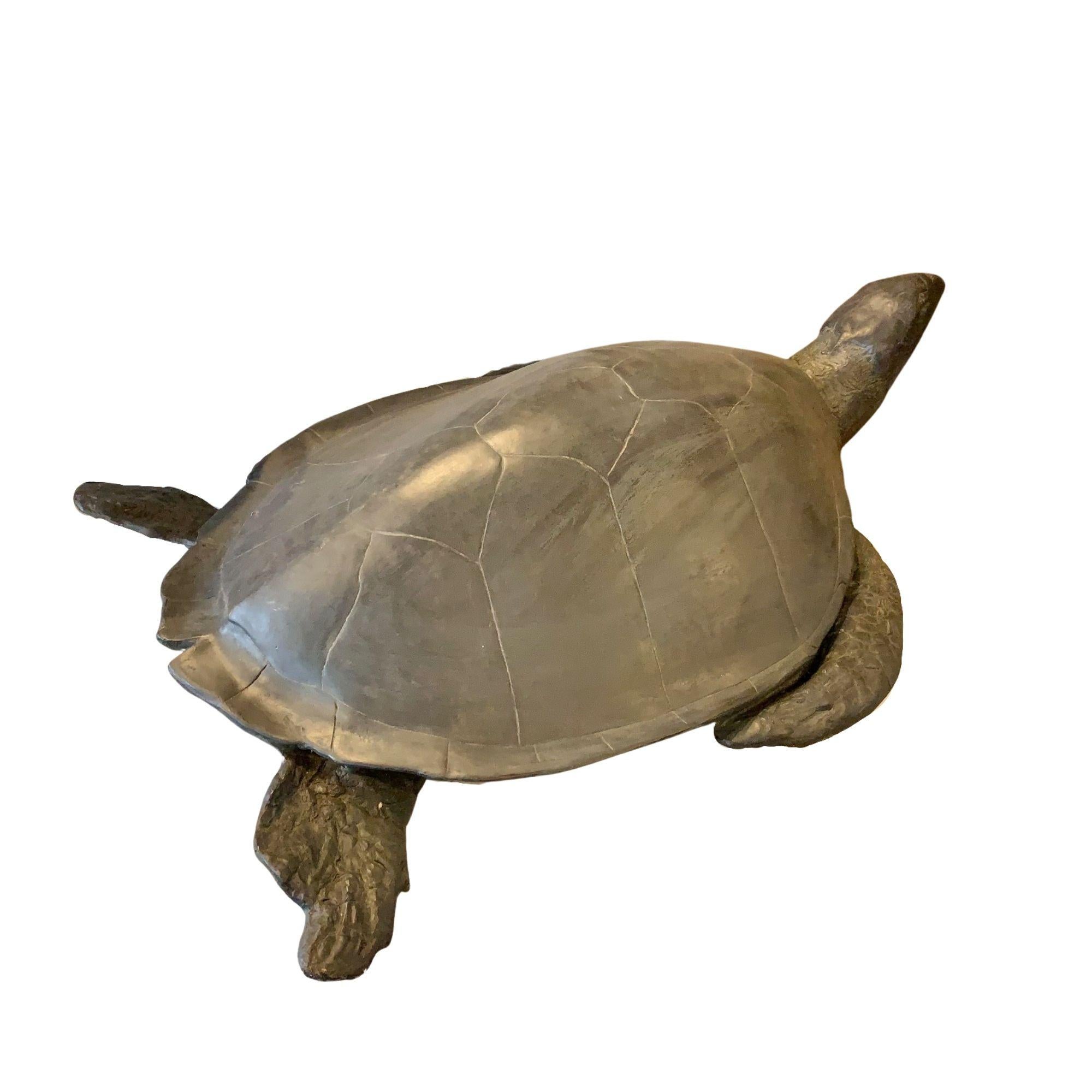turtle in resin