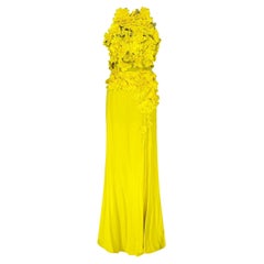 Resort 2014 L # 4 NINA RICCI SILK LACE YELLOW LONG DRESS as seen as Aura Fr 36