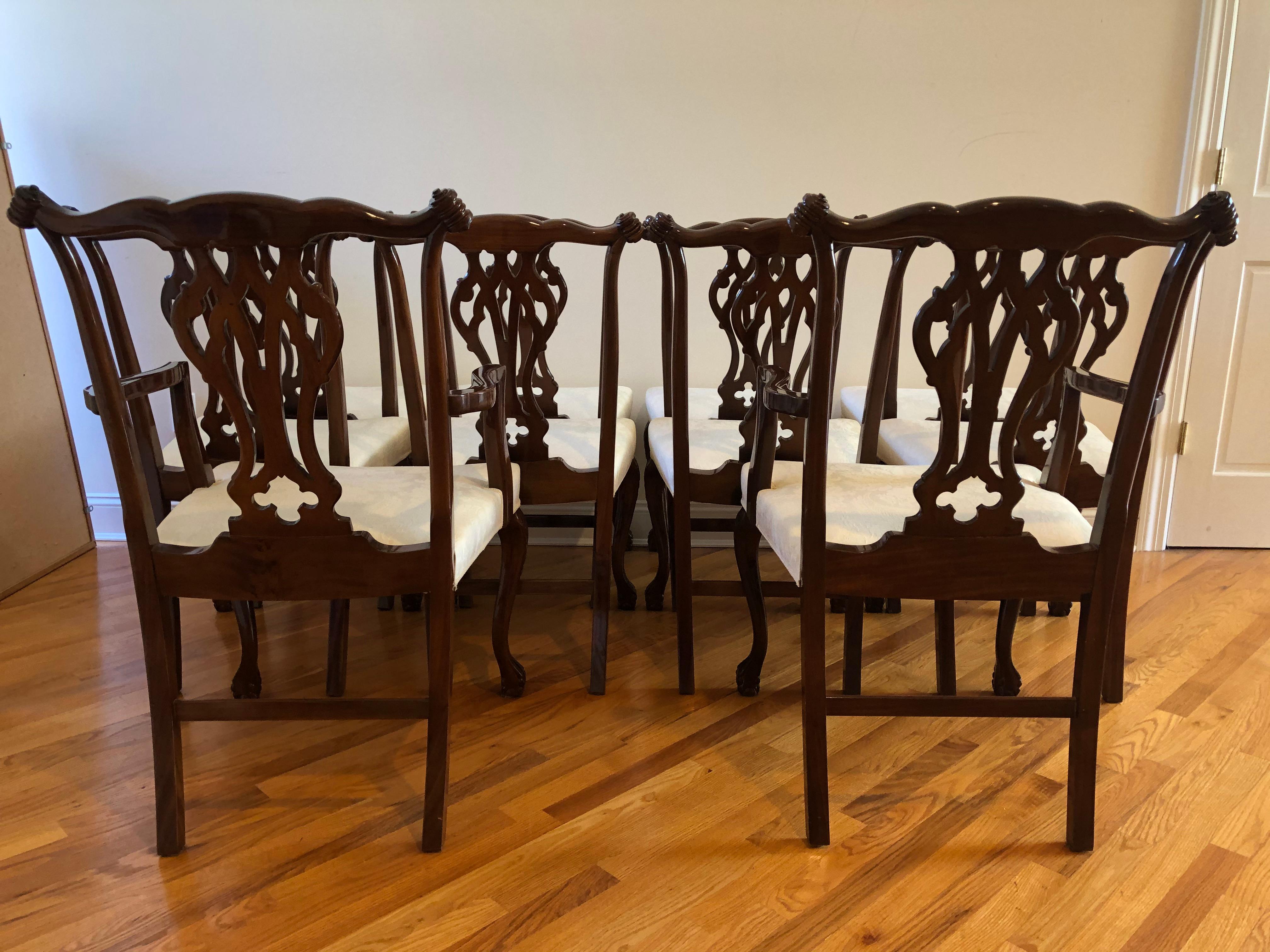 An impressive classically elegant set of 10 Chippendale style hardwood dining chairs bought in Buenos Aires 35 years ago. The wood is Petiribi, a dark mahogany like rich wood used for fine furniture. There are 2 arm chairs and 8 side. Stunning