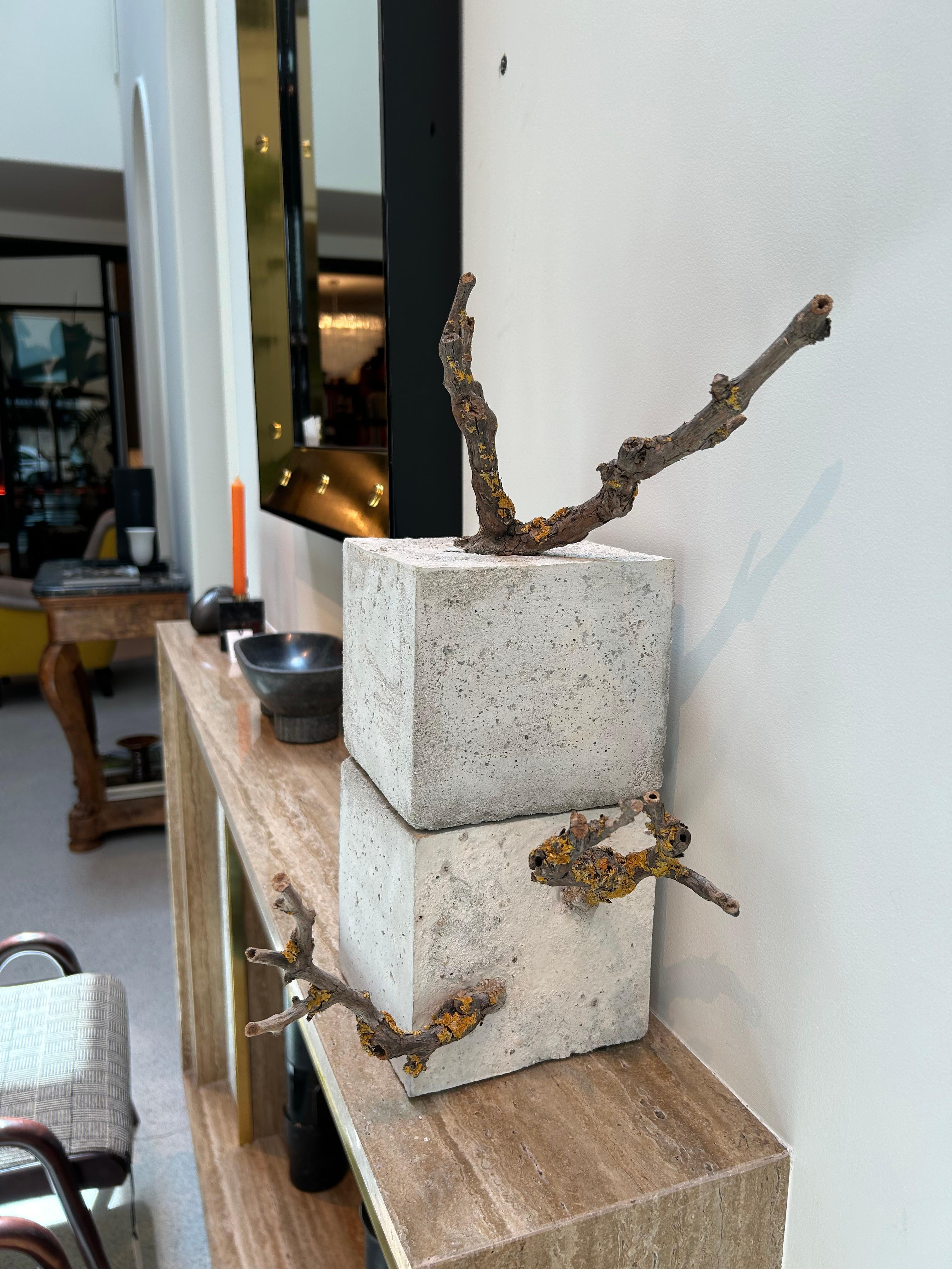 Réstia de Vida, Zement und Zweige - Skulptur von Jessica Burrinha im Zustand „Neu“ im Angebot in Matosinhos, 13