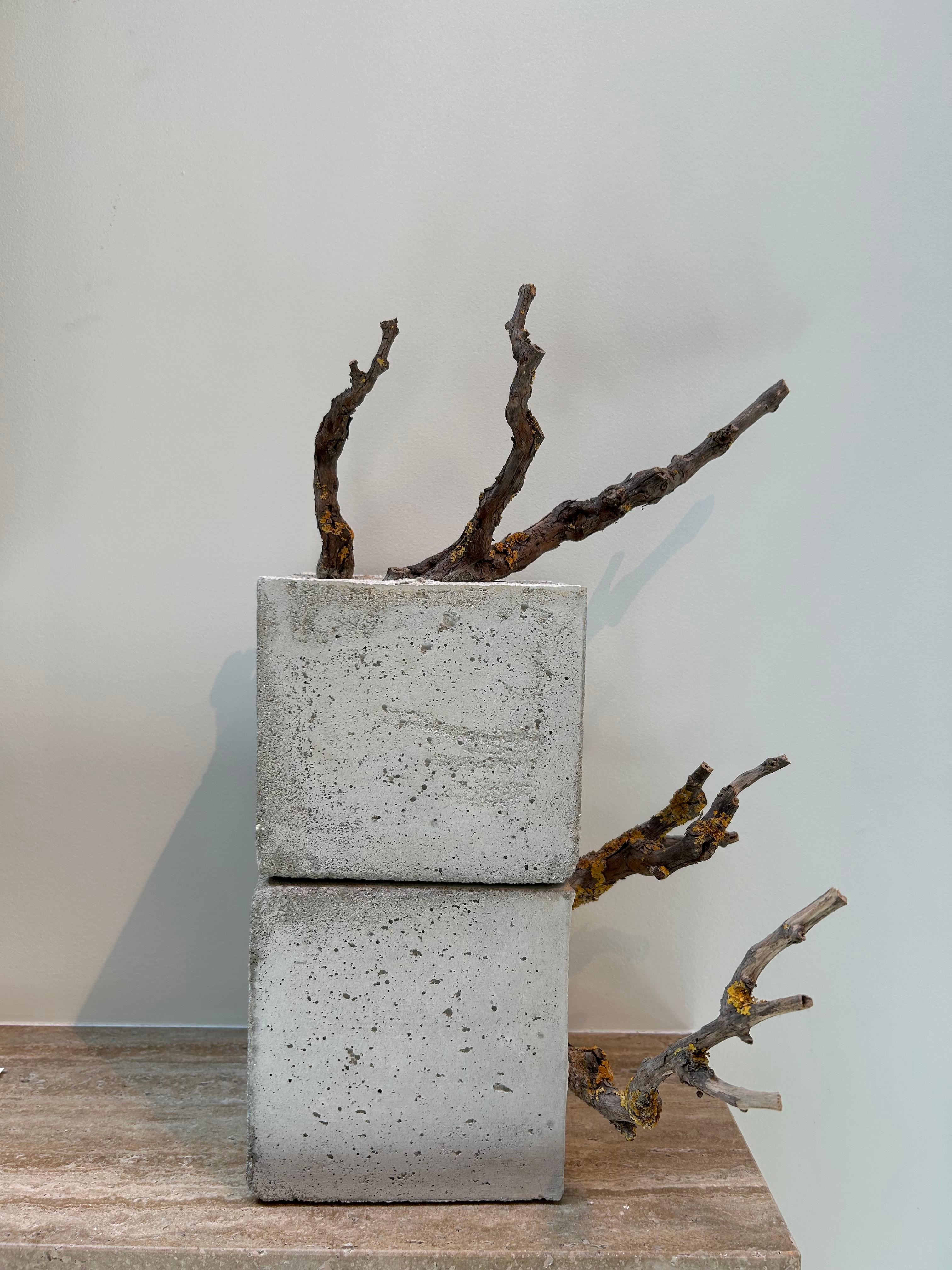 Réstia de Vida, Zement und Zweige - Skulptur von Jessica Burrinha im Angebot 2