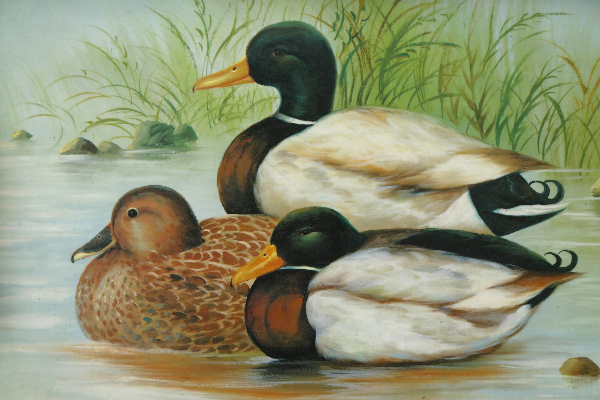Resting Mallard Ducks Serving Tray In Good Condition For Sale In Bradenton, FL