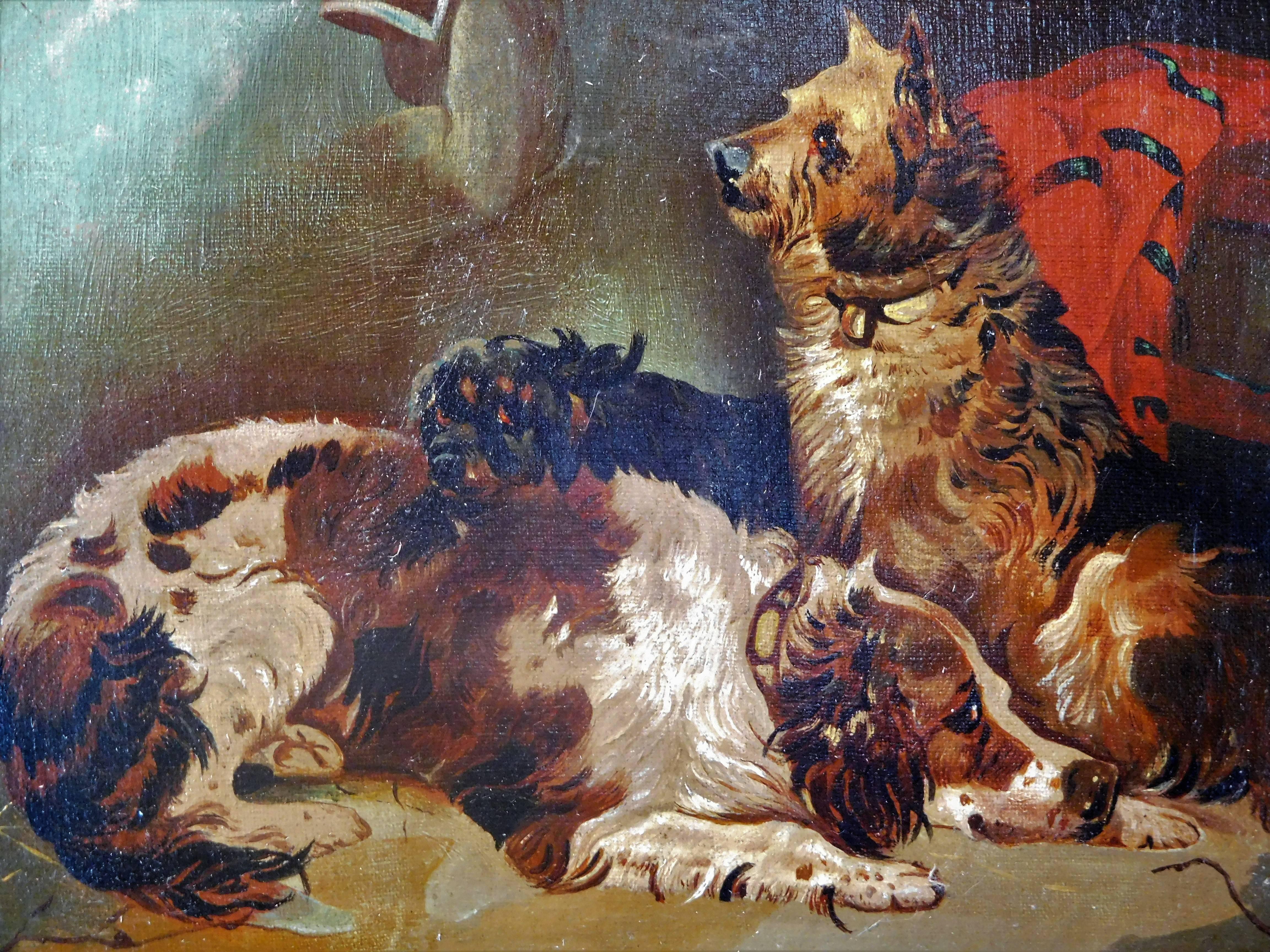 Early 20th Century Resting Terriers, Oil Painting on Canvas, British School of Sporting Art For Sale