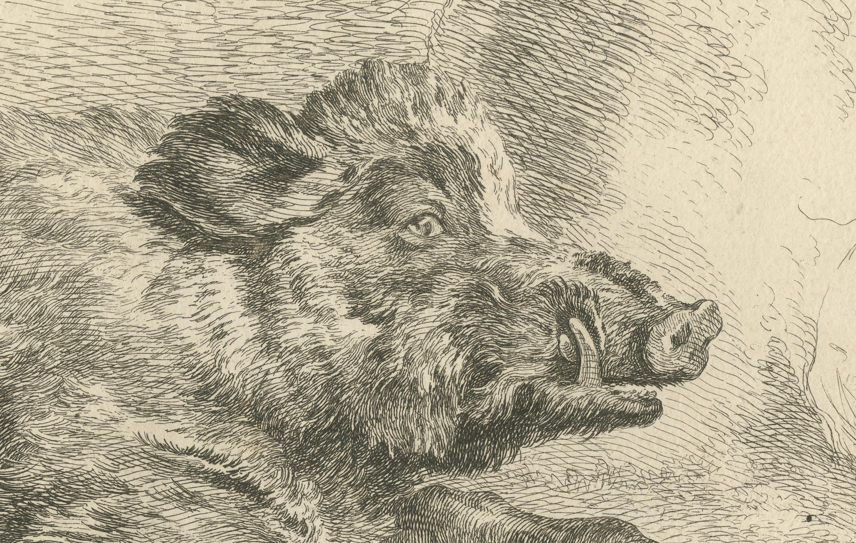 Ruhendes Wildschwein: Eine detaillierte Radierung - um 1740 im Zustand „Gut“ im Angebot in Langweer, NL