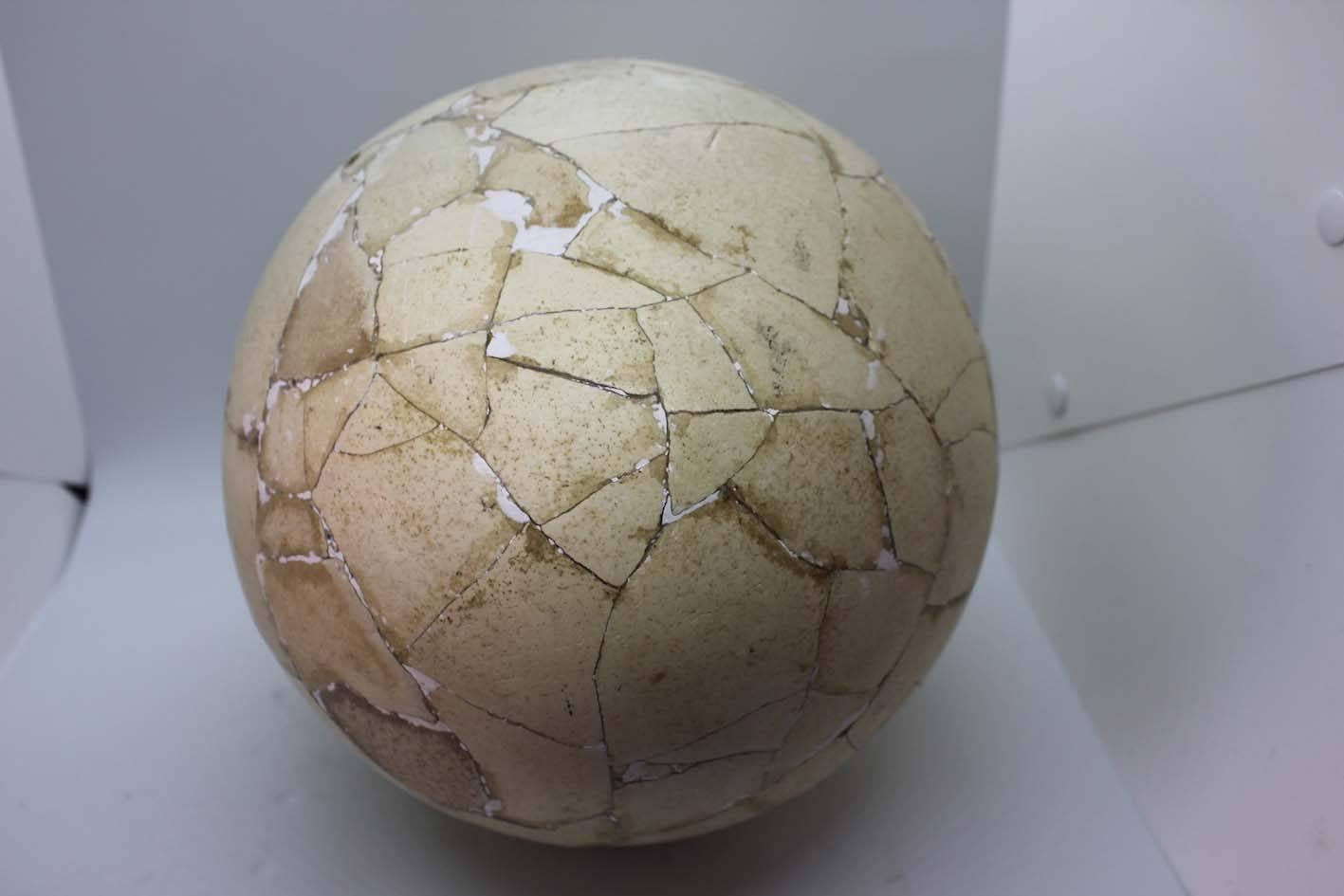 Restored Aepyornis Egg, Very Rare 1