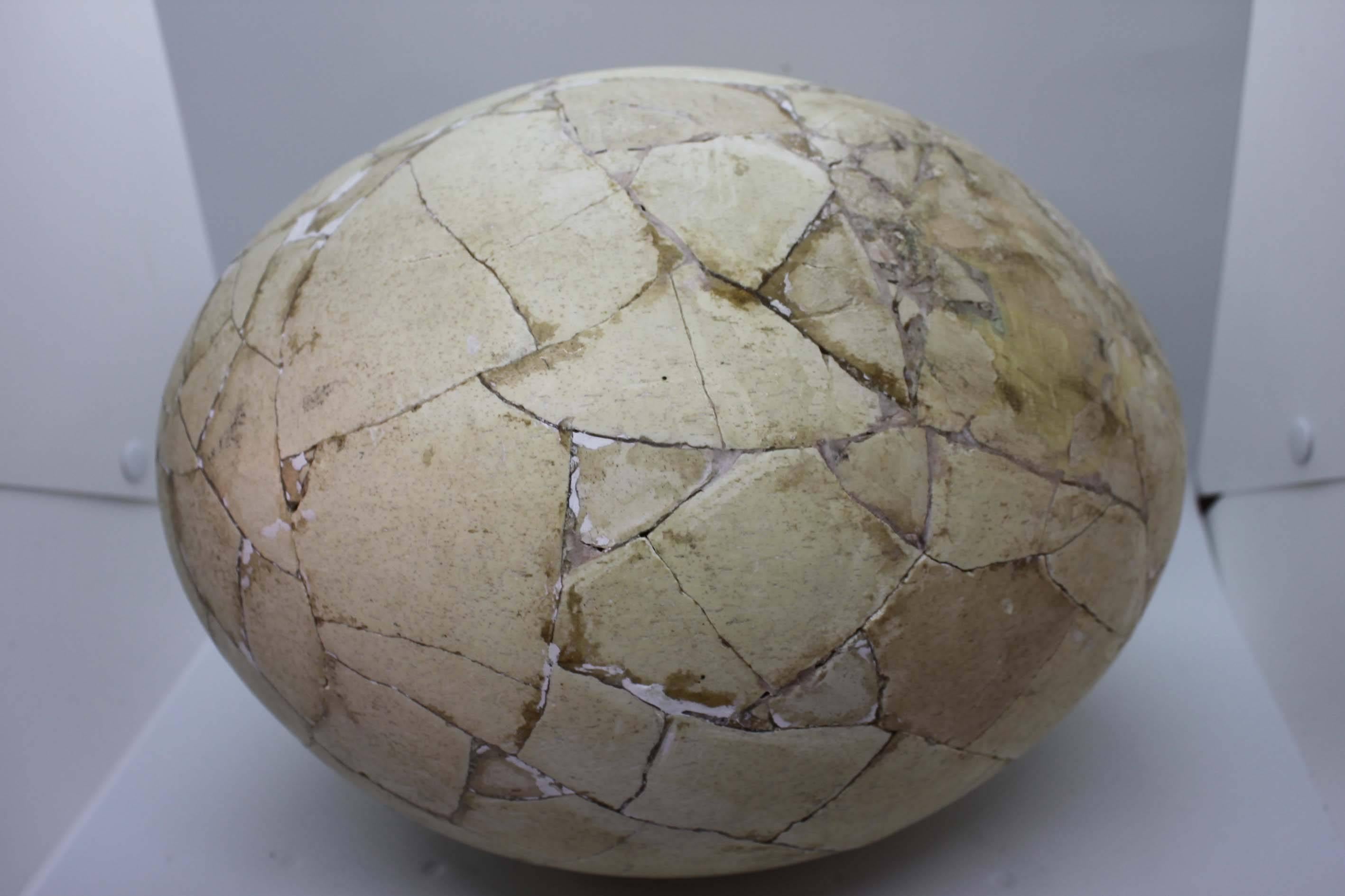 Restored Aepyornis Egg, Very Rare In Fair Condition In Marseille, FR
