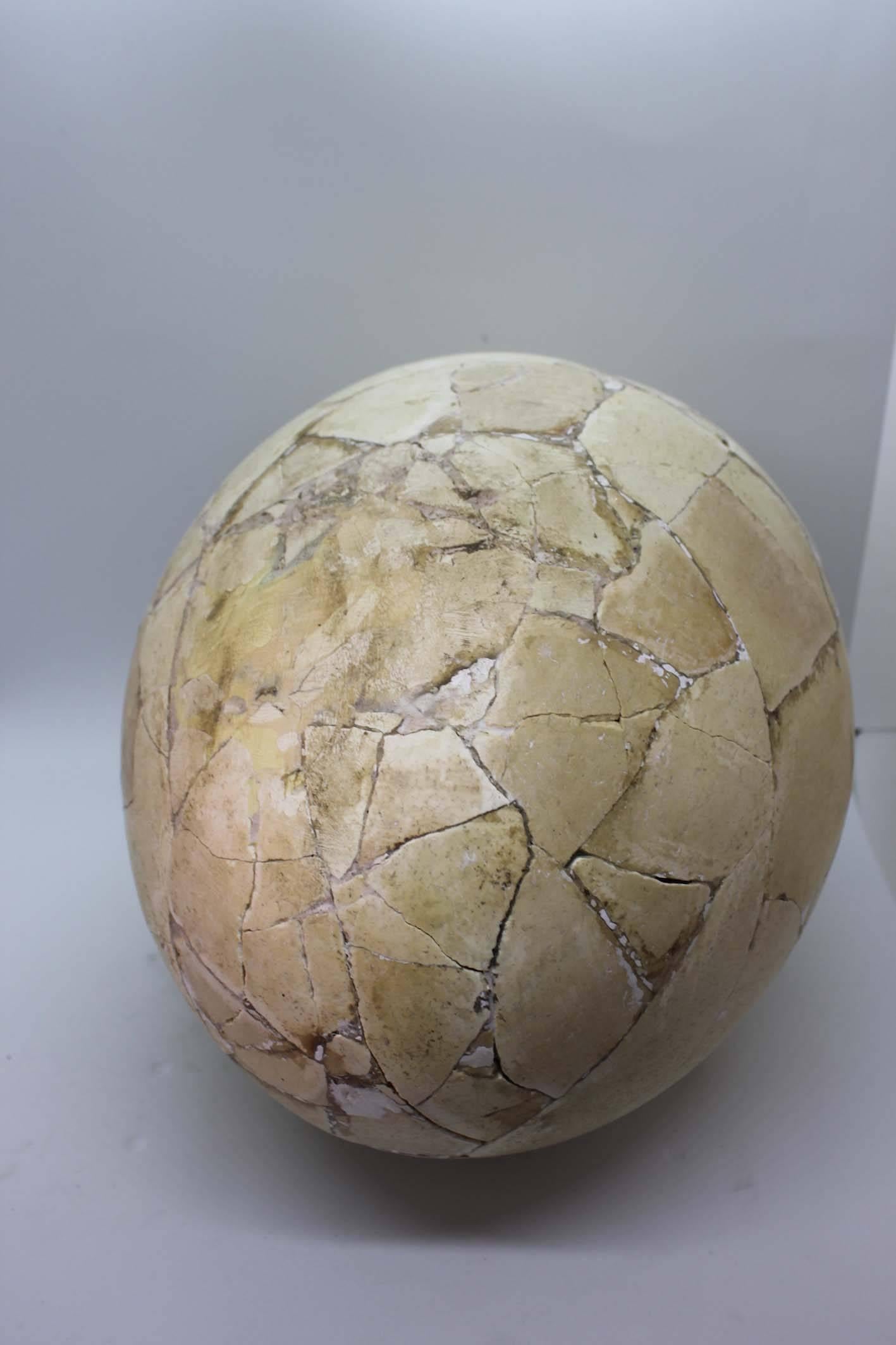 18th Century and Earlier Restored Aepyornis Egg, Very Rare