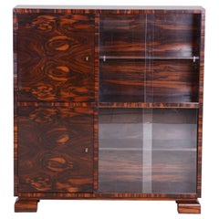Restored Art Deco Bookcase, by Oldřich Liška, Macassar, Glass, Czech, 1930s