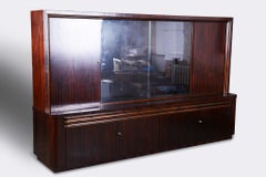 Restored Art Deco Bookcase, Oak, Macassar Ebony, Polished, France, 1920s