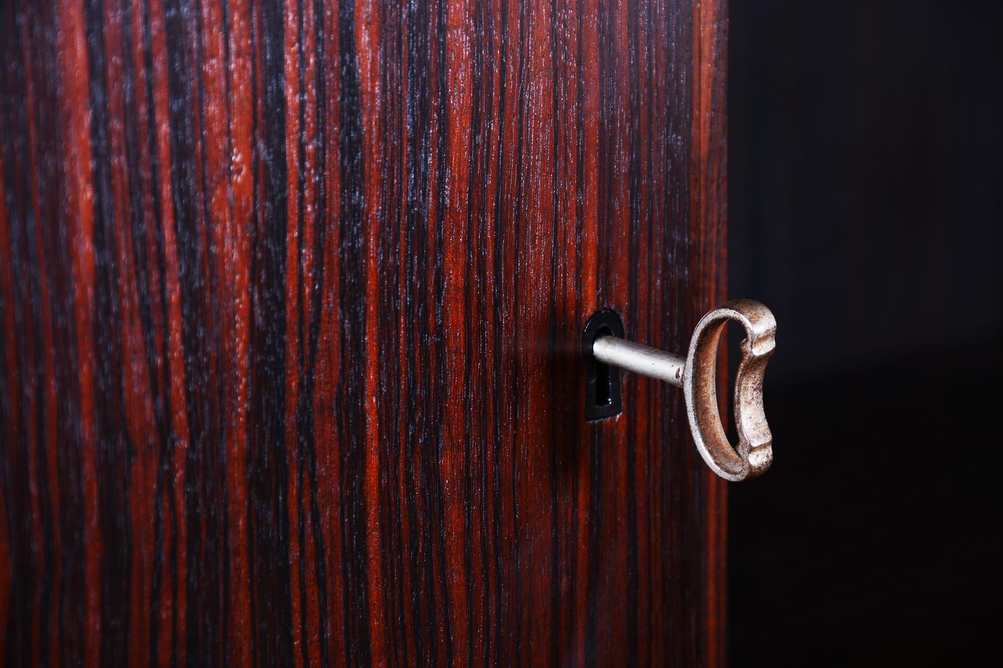 Restauriertes Art Deco Bücherregal, Eiche, Makassar-Ebenholz, poliert, Frankreich, 1920er Jahre im Angebot 2