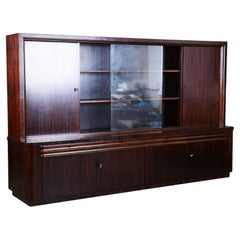 Restored Art Deco Bookcase, Oak, Macassar Ebony, Polished, France, 1920s