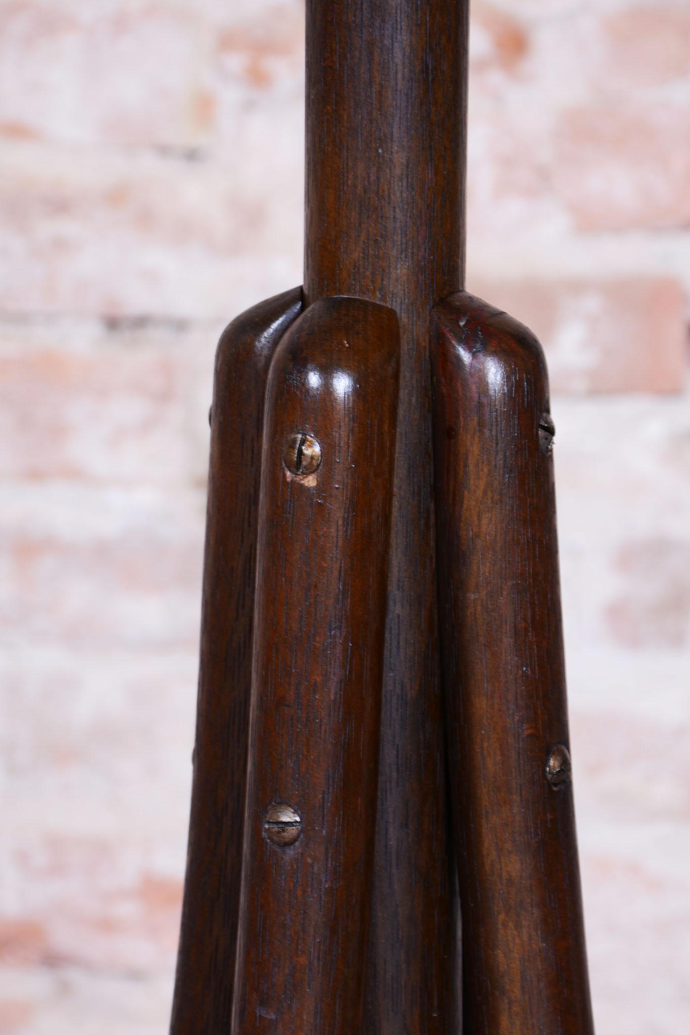 Legno Appendiabiti Art Deco restaurato, di Thonet, Beeche, polacco, ceco,  1930s in vendita