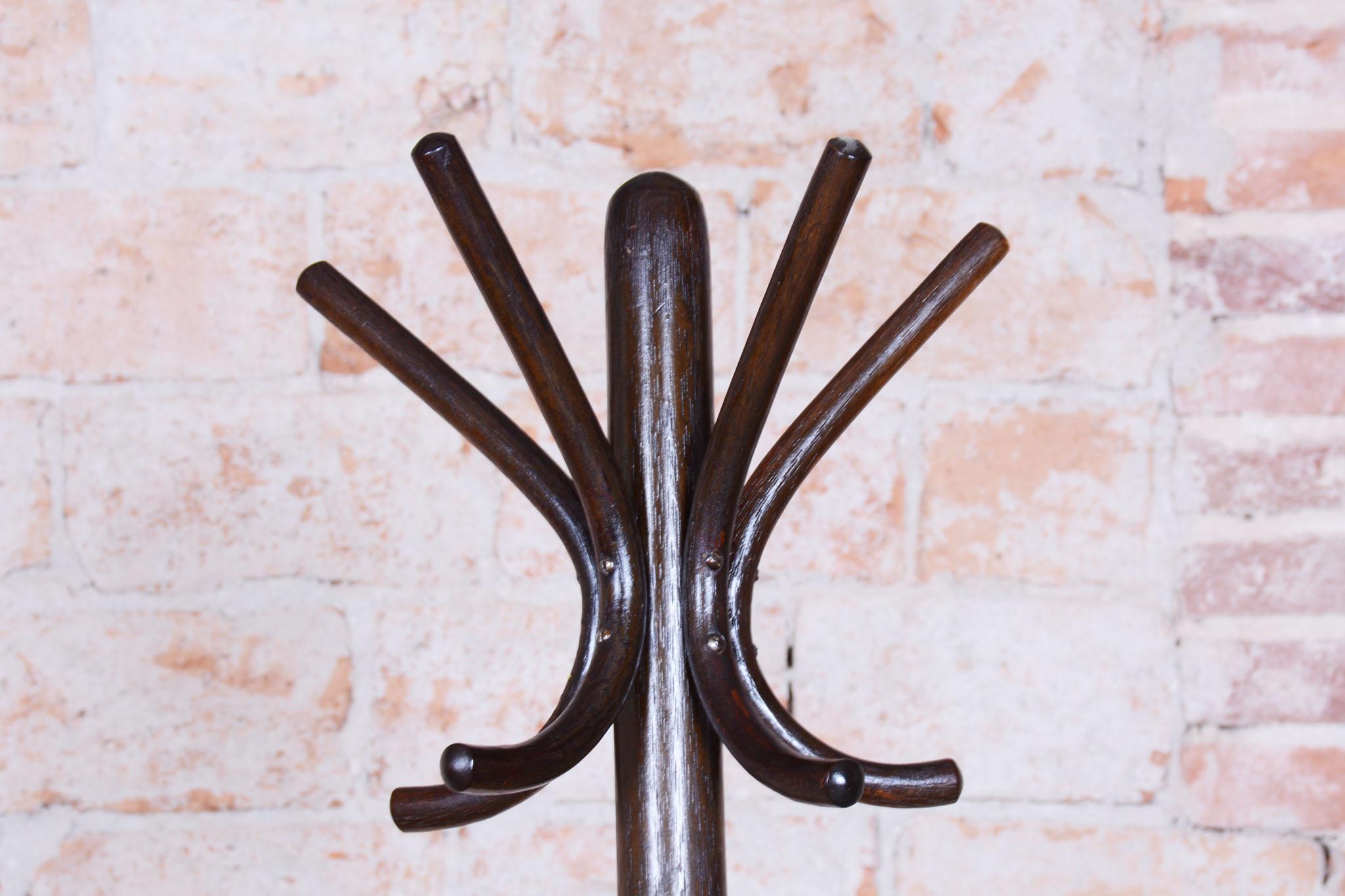 Appendiabiti Art Deco restaurato, di Thonet, Beeche, polacco, ceco,  1930s in vendita 1