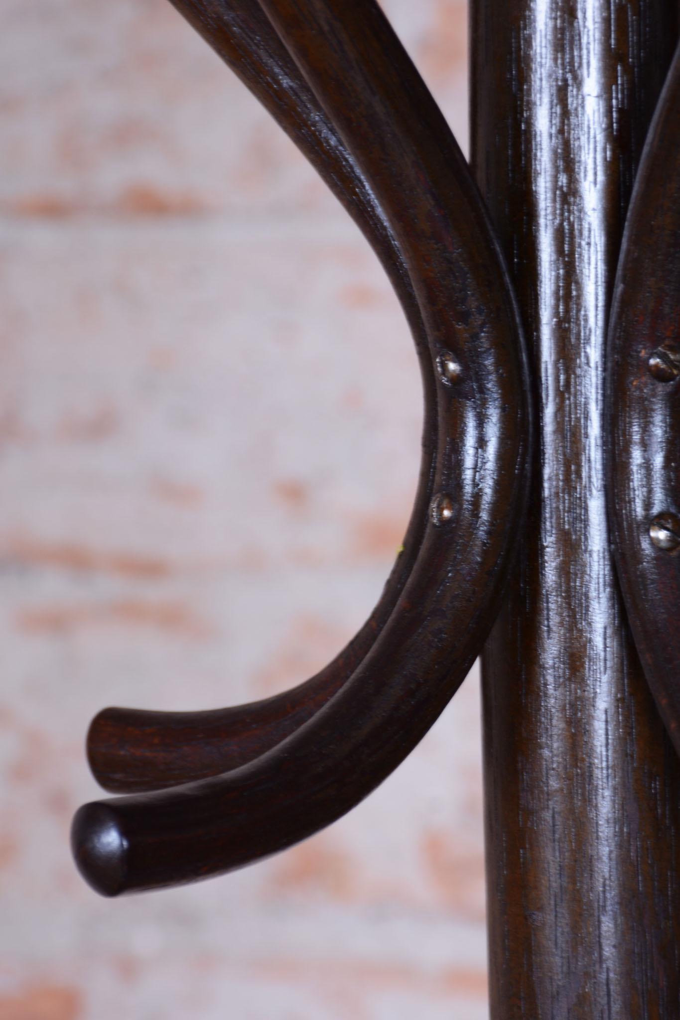 Appendiabiti Art Deco restaurato, di Thonet, Beeche, polacco, ceco,  1930s in vendita 2