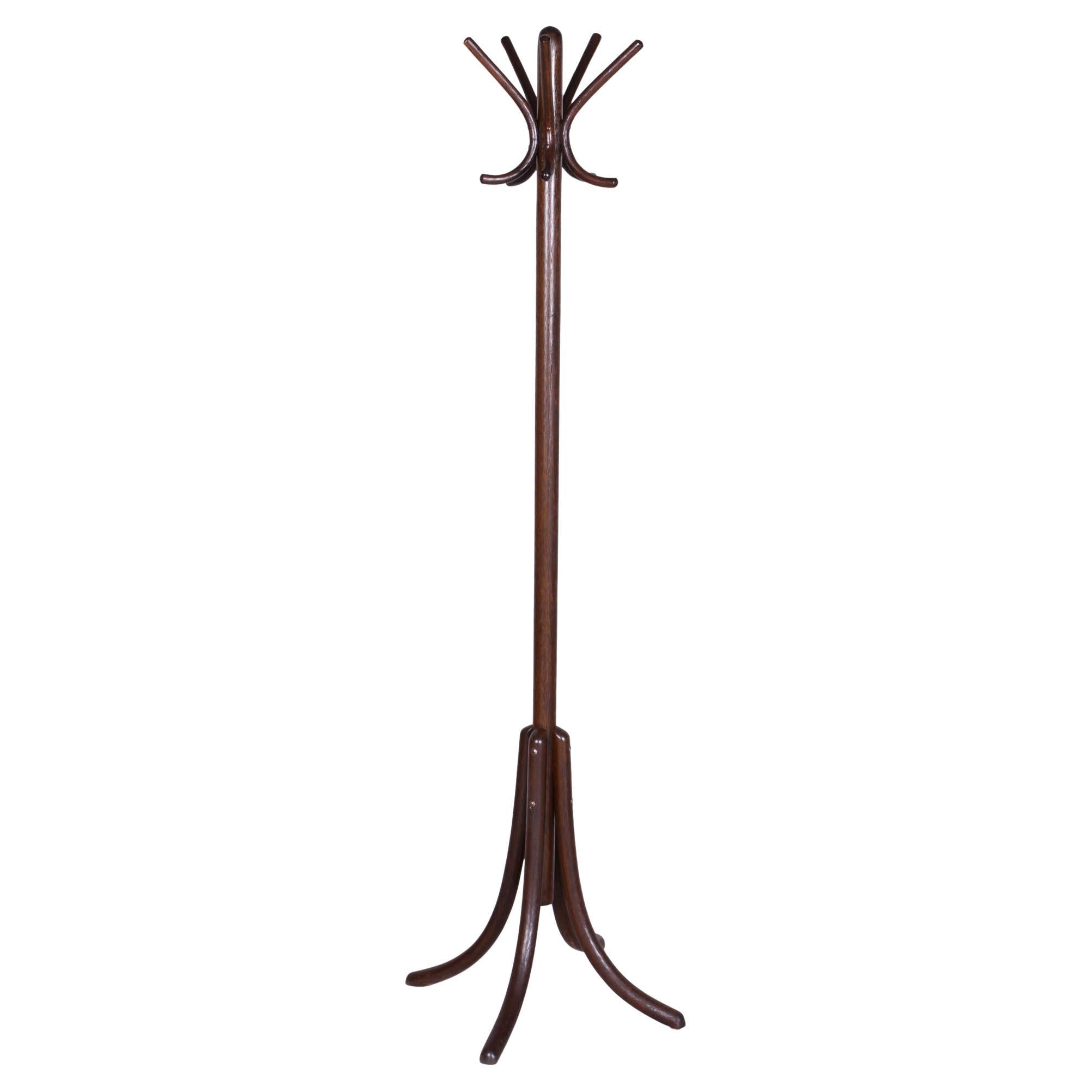 Appendiabiti Art Deco restaurato, di Thonet, Beeche, polacco, ceco,  1930s in vendita