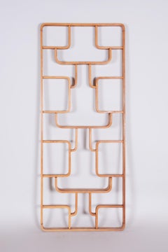Restored Ash Room Divider Wall Unit, Ludvik Volak for Drevopodnik Holesov, 1960s
