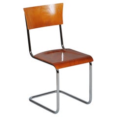 Restored Bauhaus Chair, by Mart Stam, Beech, Chromed Steel, Czech, 1930s
